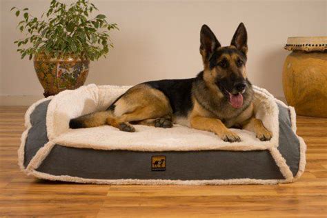 Orthopedic LUX Bolstered Bed - XL Dog Beds Xxl Dog Beds, Pet Beds, Chew ...