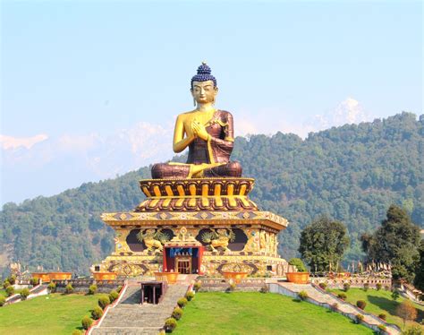 Namchi, South Sikkim | An empty cup...