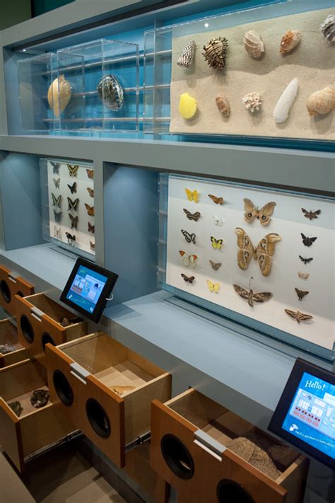 South Florida Science Center & Aquarium | Museum Exhibit Design | AST Exhibits