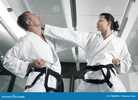 Martial arts masters stock photo. Image of people, fist - 27882080