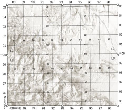 Grids and graticules—ArcGIS Pro | Documentation