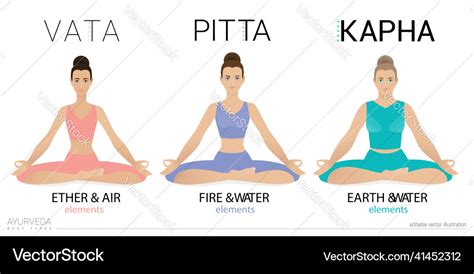 Vata pitta and kapha doshas ayurveda yoga Vector Image