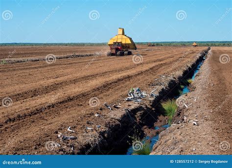 Peat extraction process stock photo. Image of landscape - 128557212