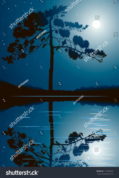 Tree Silhouette Against Night Sky Full Stock Vector (Royalty Free) 110364935 | Shutterstock