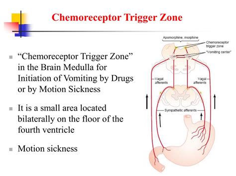 PPT - Physiology of Gastrointestinal Disorders PowerPoint Presentation ...