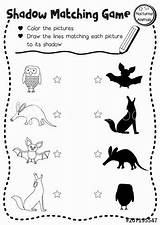 Coloring Pages Nocturnal Animals sketch template