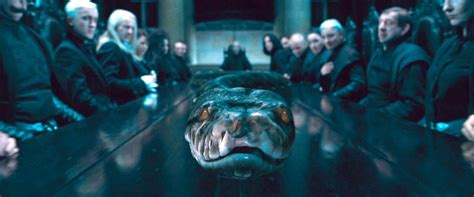 10 Facts About Nagini That Most Fans Don't Know