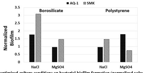 BIOFILM FORMATION AND CALCIUM PRECIPITATION IN BACILLUS LICHENIFORMIS ...