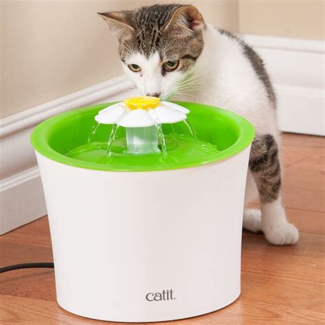 Removed | Cat water fountain, Decorative water fountain, Drinking fountain