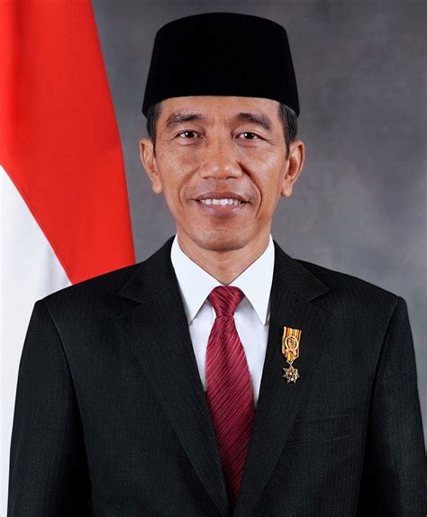 Indonesia President Joko Widodo: Biography, Personal Profile, Career | Vietnam Times