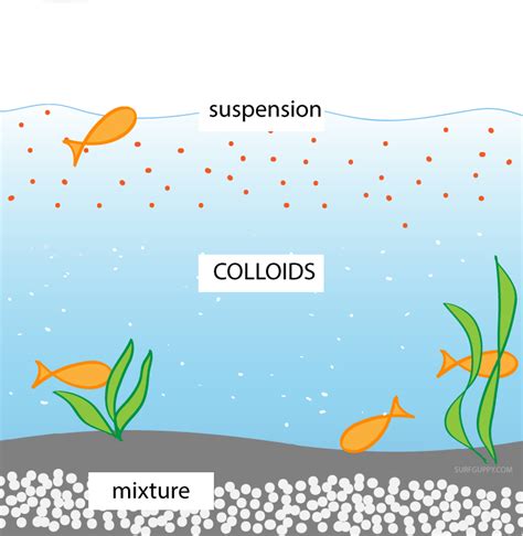 Colloid Mixture