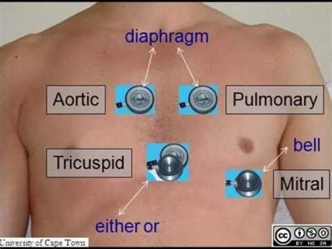 The head-to-toe assessment in nursing is an important physical health assessment that you'll be ...