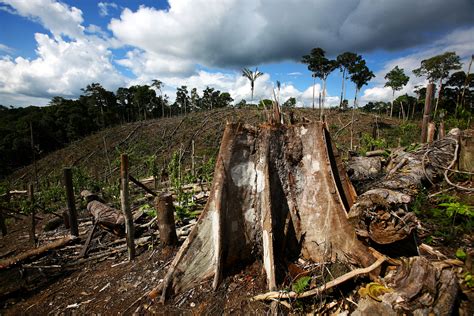 Deforestation in Brazil affects rainfall – DESERTIFICATION