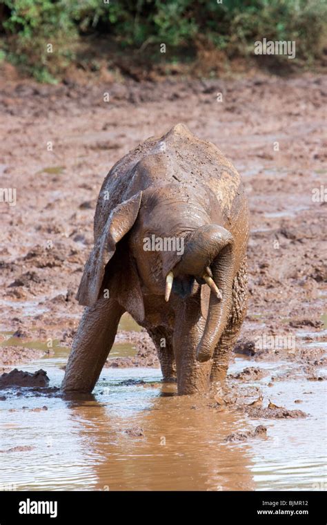 Playing in the mud hi-res stock photography and images - Alamy