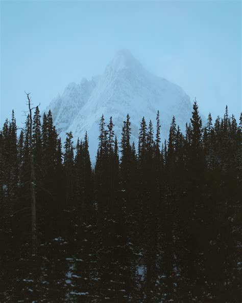 Winter in Alberta on Behance