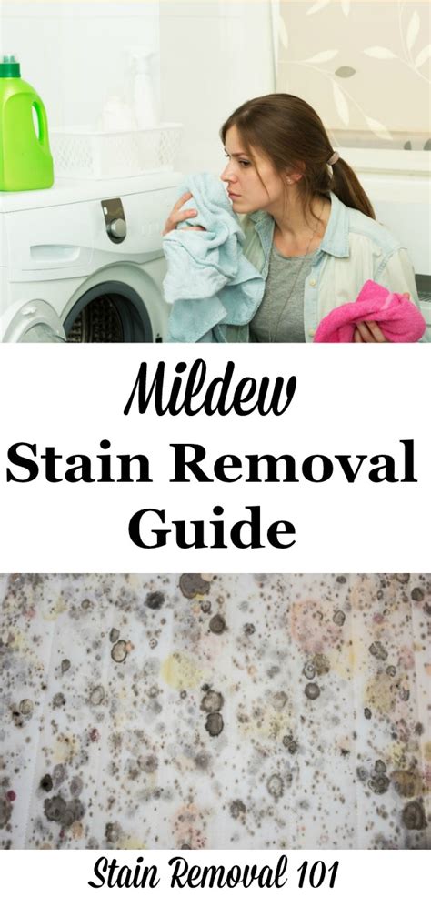 Mildew Stain Removal Guide