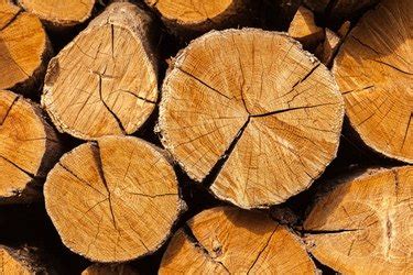 The 7 Best Types of Wood for Your Fireplace for a Cozy Glow | Hunker