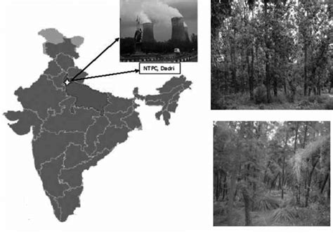 Location map and plantation raised around NTPC, Dadri (India) | Download Scientific Diagram