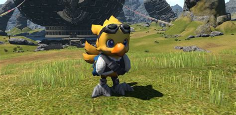 Ffxiv S Top 20 Cutest Minions Ever Made Fandomspot | Parkerspot