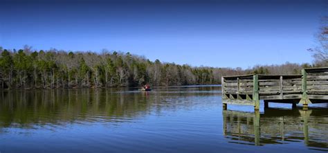 Andrew Jackson State Park - 2 Photos - Lancaster, TN - RoverPass