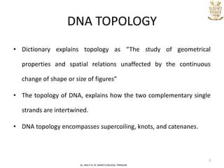 DNA TOPOLOGY | PPT