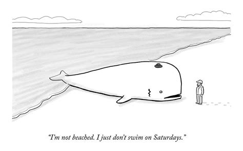 A Beached Whale Wears A Hasidic Rabbi Hat Drawing by Paul Noth - Pixels