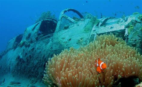 10 Top Dive Sites in the Pacific | Chuuk Lagoon, Micronesia | Yacht ...