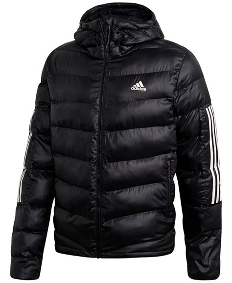 adidas Men's Insulated Hooded Puffer Jacket & Reviews - Coats & Jackets - Men - Macy's