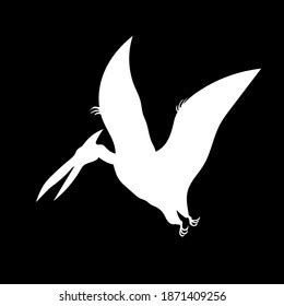 Pterodactyl Silhouette Drawing On Black Background Stock Illustration ...