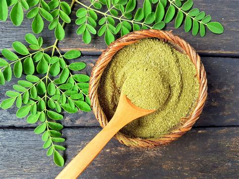 Moringa: healthy characteristics, uses and sides effects of the miraculous plant