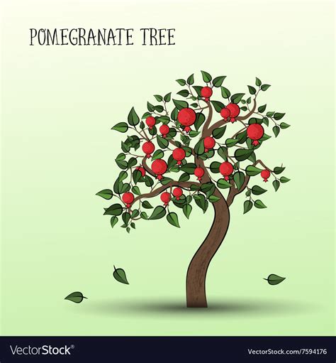 Pomegranate tree Royalty Free Vector Image - VectorStock