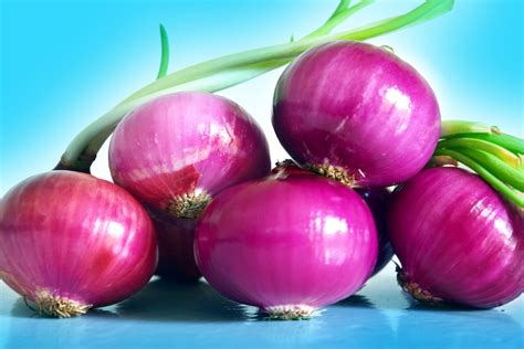 Perspective Onion 1 Free Stock Photo - Public Domain Pictures