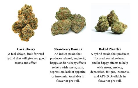 Using Cannabis for Anxiety - Strains to Consider