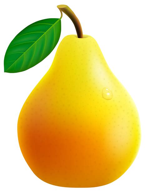 Pear Fruit Clip art - pear png download - 2761*3581 - Free Transparent ...