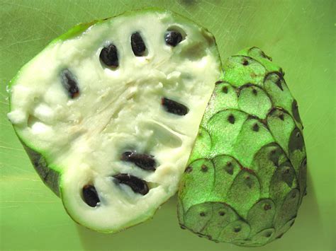 Cherimoya - Fruit, Tree, Seeds, Nutrition, Growing, Uses and Recipes - Only Foods