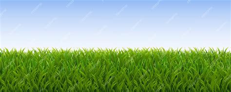 Premium Vector | Grass Border And With White Background