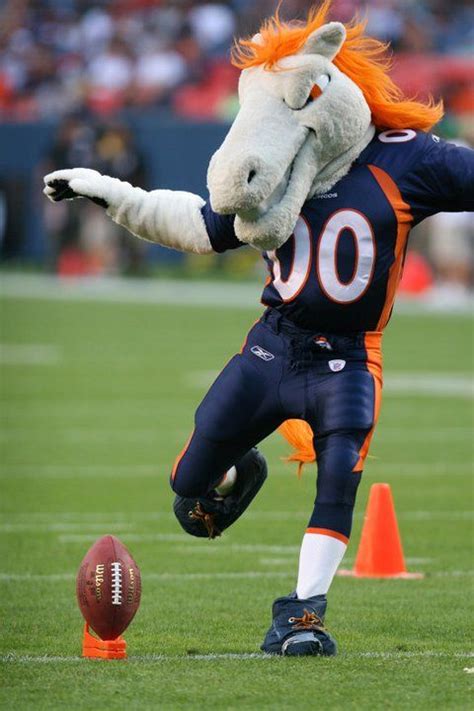 Denver Broncos mascot Miles the Bronco. The powerful horse known as Miles was born on January ...