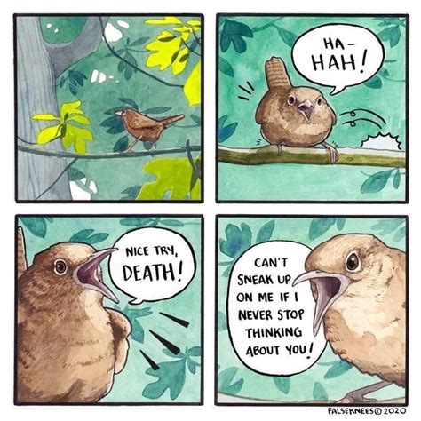 Intense Bird Memes To Ruffle Some Feathers (40 Memes) | Funny animal comics, Cute comics, Funny ...