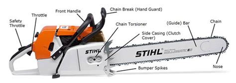 Using a Chainsaw - Everything You Should Know | Hirepool