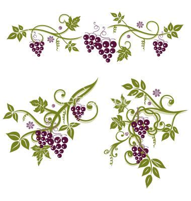 Grape Vine Border Vector at Vectorified.com | Collection of Grape Vine ...