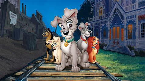 Lady and the Tramp II: Scamp's Adventure - Disney+