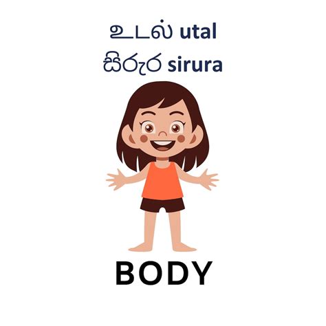 Body Parts English Tamil & Sinhala Flash Cards 24 Trilingual - Etsy