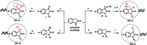 Design and synthesis of diversified oxindole DNA-encoded libraries. (a ...