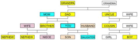 Can Females Trace Their Paternal Line?