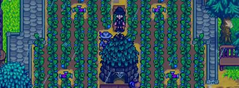 Efficient Stardew Valley Farm Layout with Junimo Huts: A Complete Guide