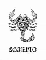 Scorpio Coloring Pages  ColoringBay sketch template