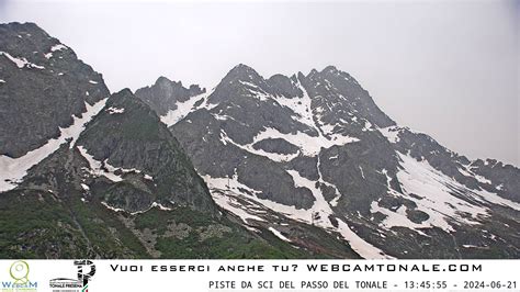 Webcam Passo del Tonale - Pista Paradiso - WEBCAM TONALE