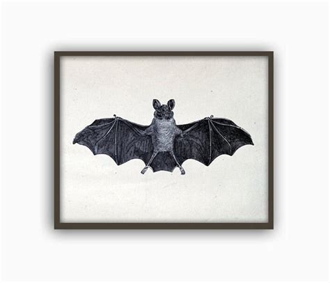 Bat Print Bat Wall Art Bat Poster Animals Print - Etsy