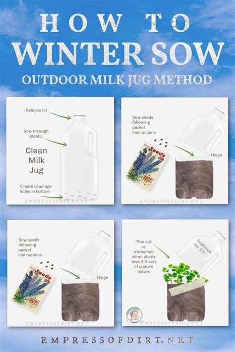 Winter Sowing: Starting Seeds Outdoors in Milk Jugs