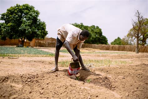 Sustainable Agriculture in Burkina Faso Improves Steadily